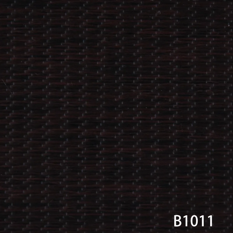 B1011