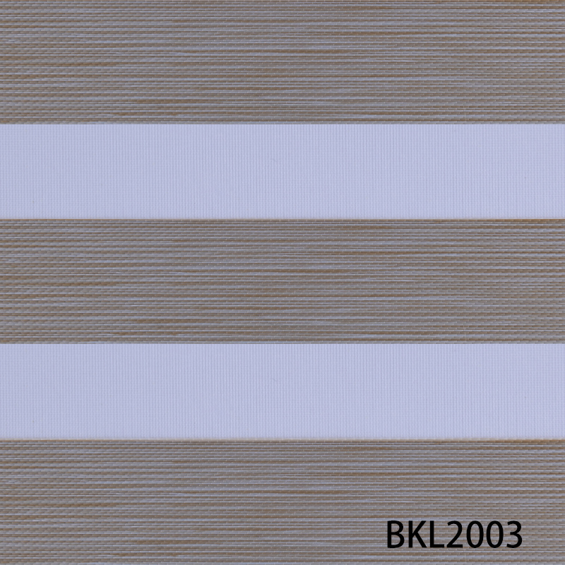 BKL2003
