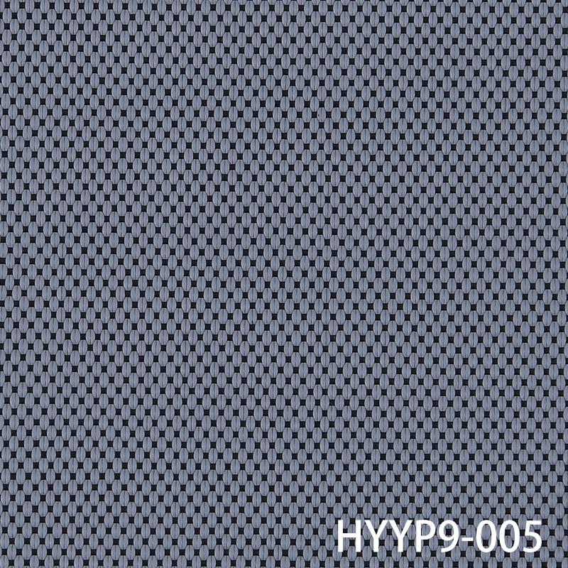 HYYP9-005