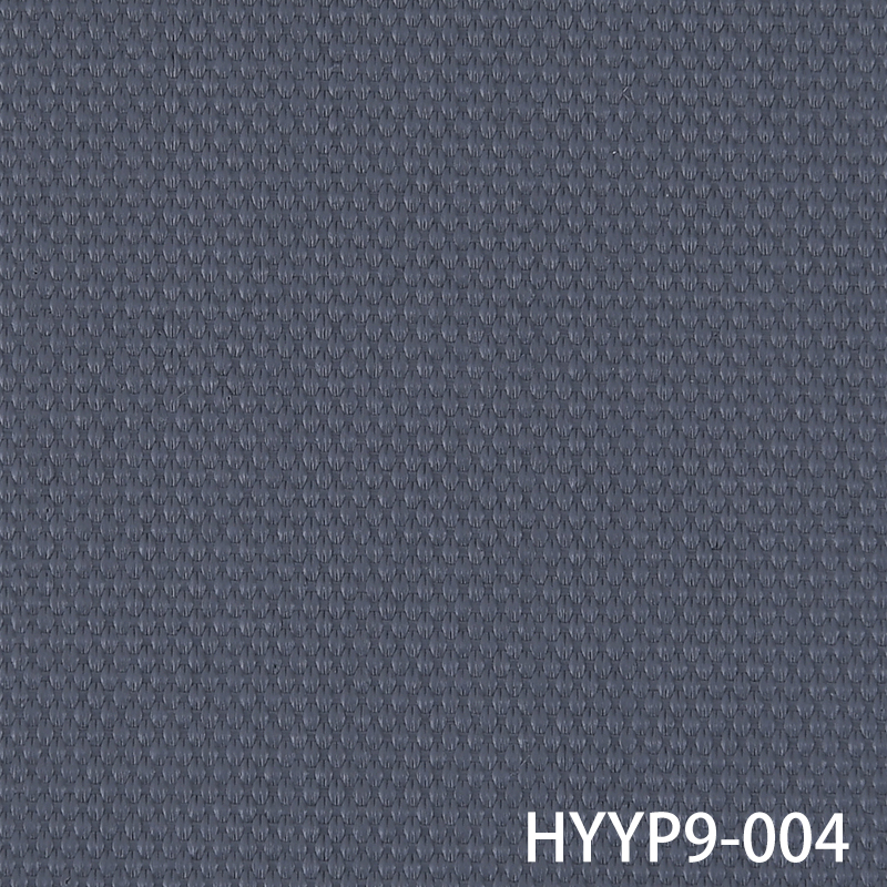 HYYP9-004