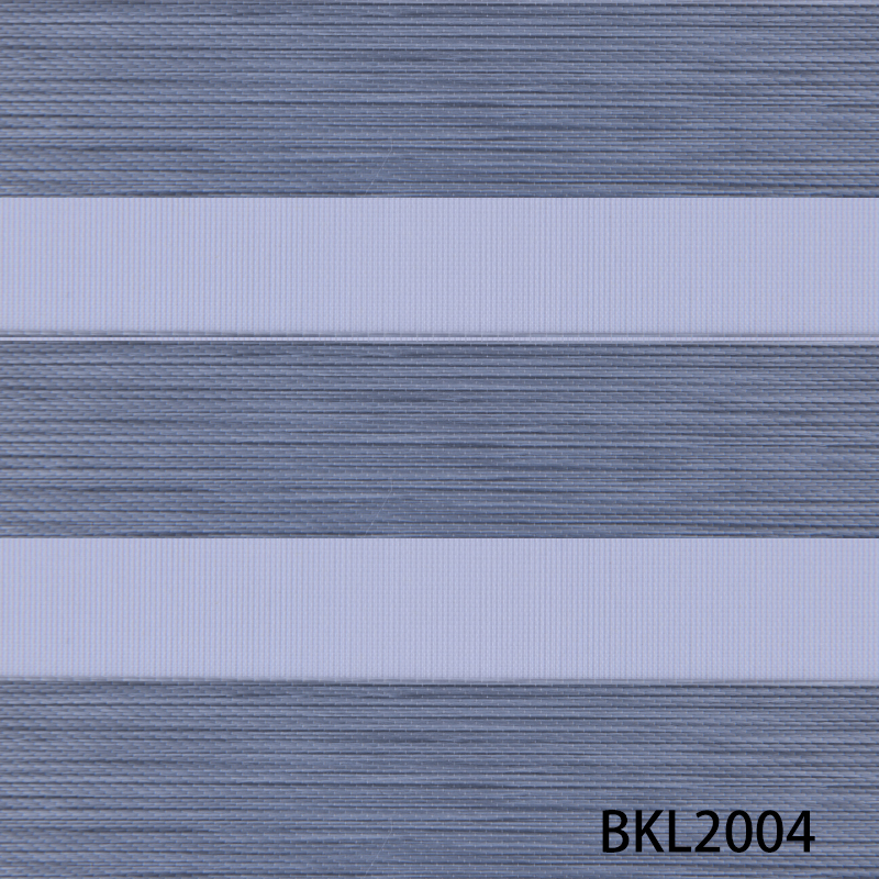 BKL2004