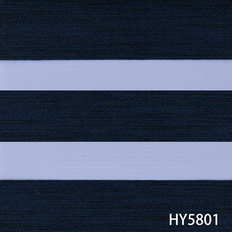 HY5801