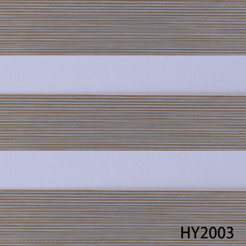 HY2003