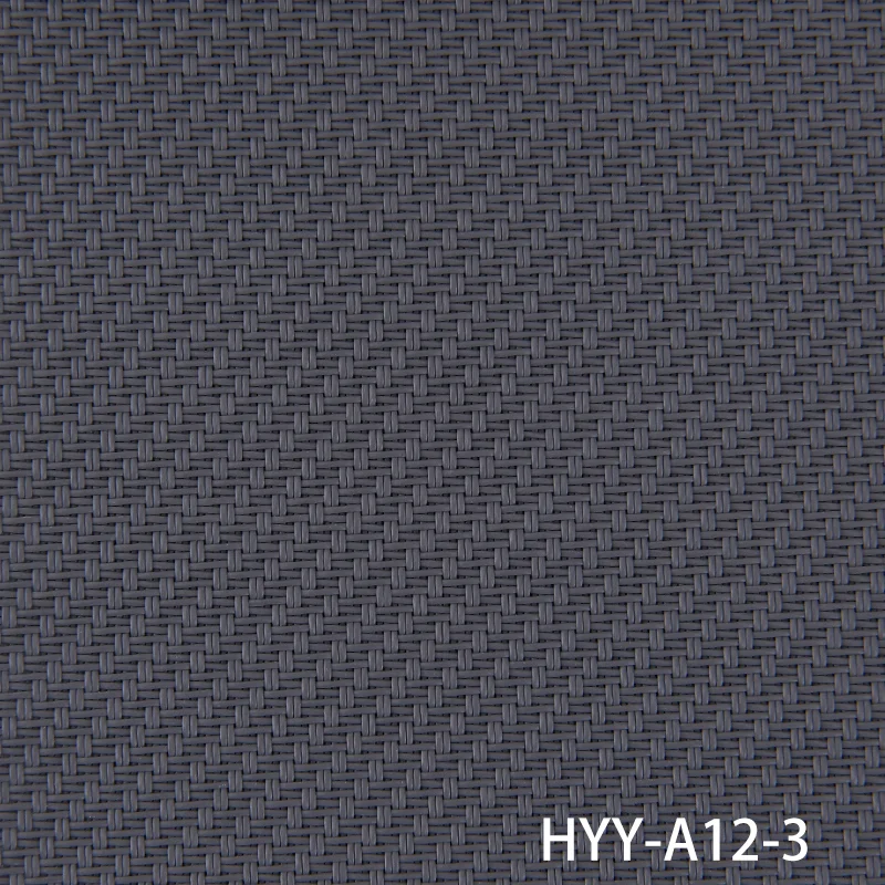 HYY-A12-3
