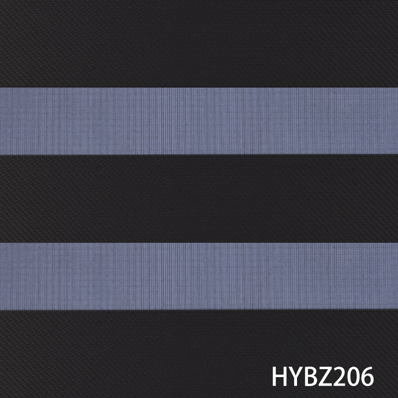 HYBZ206