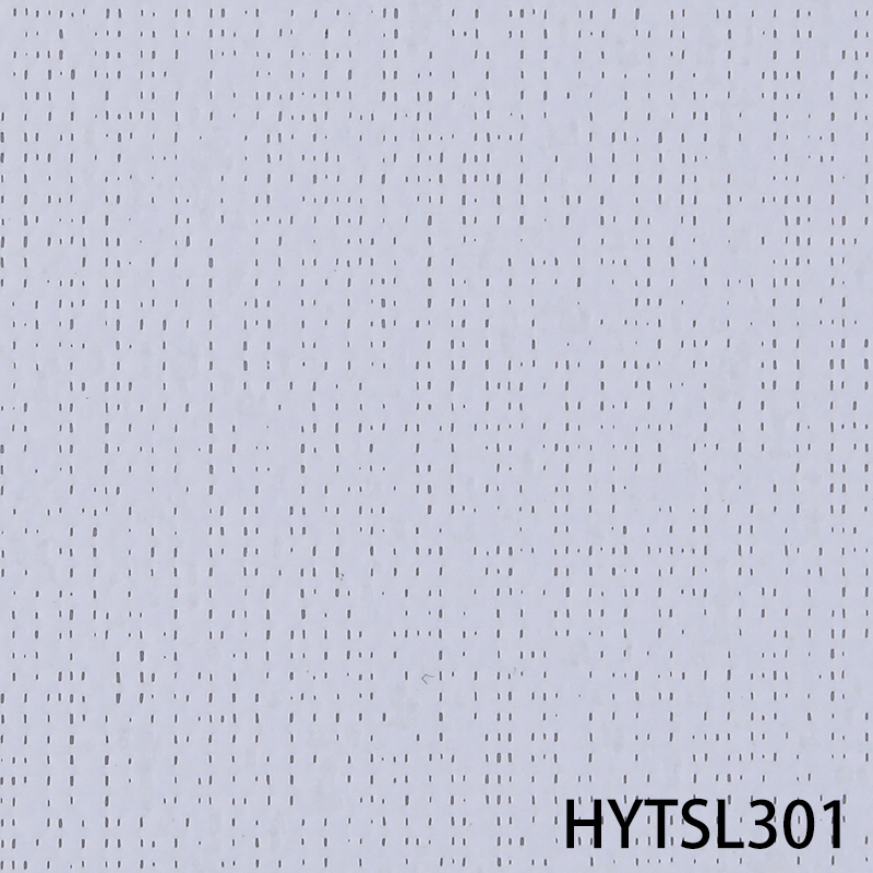 HYTSL301