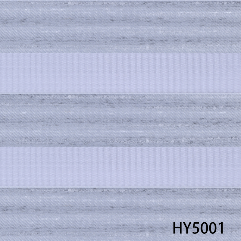 HY5001