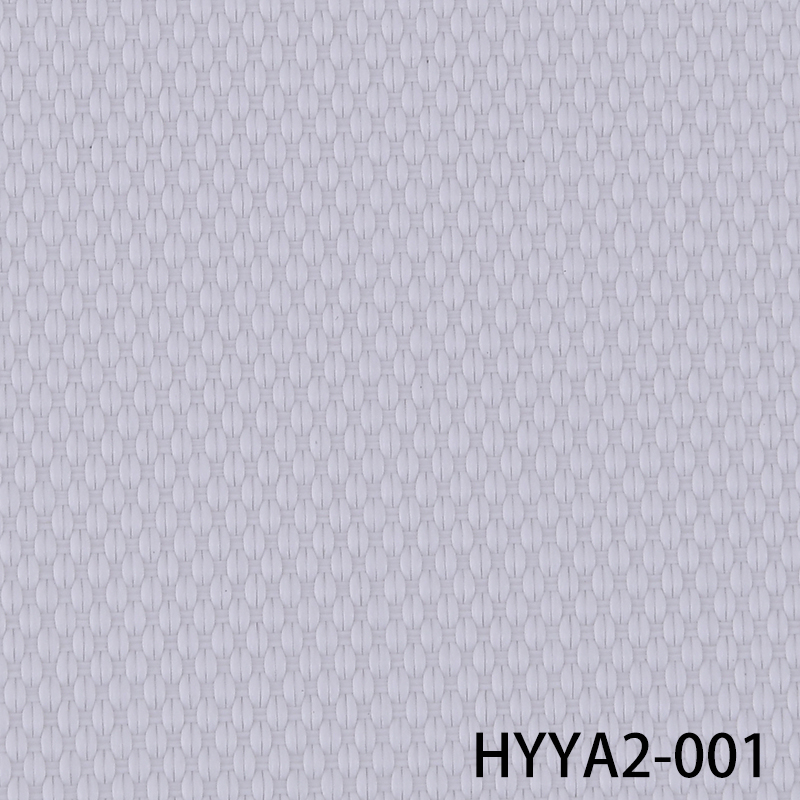 HYYA2-001