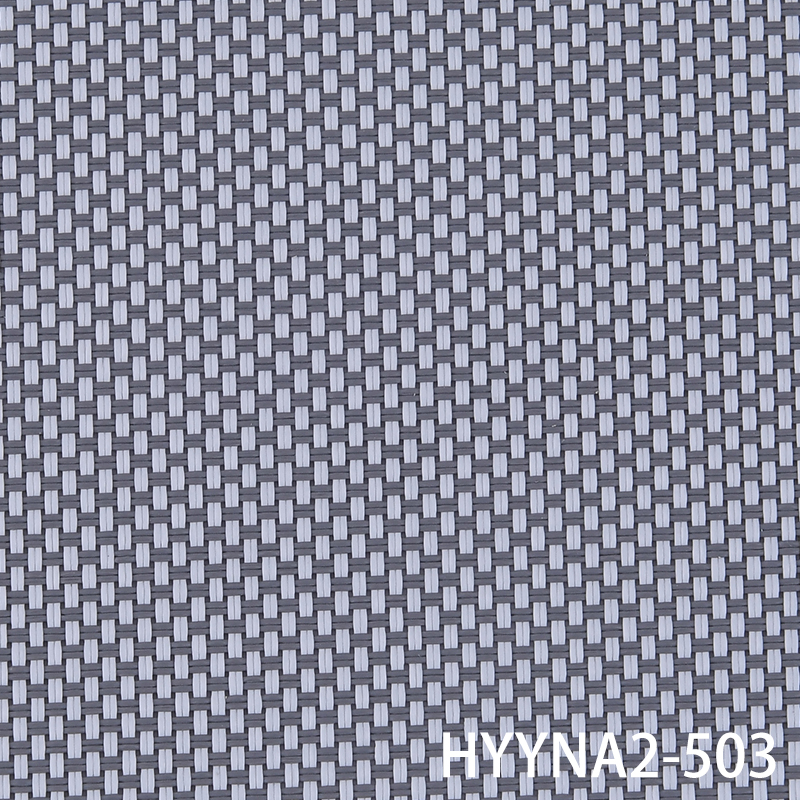 HYYNA2-503