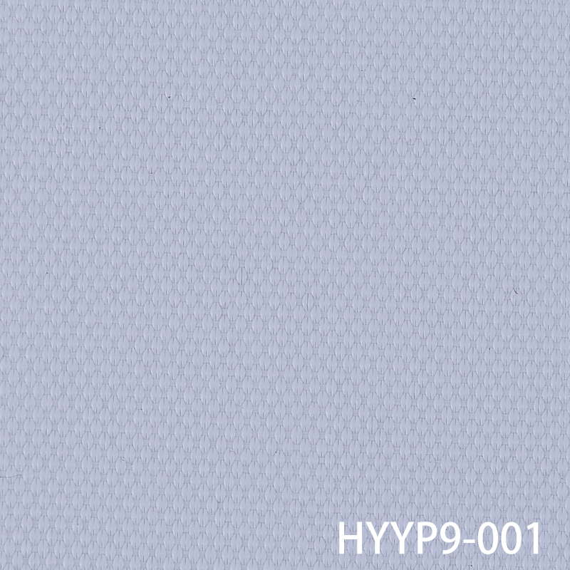 HYYP9-001