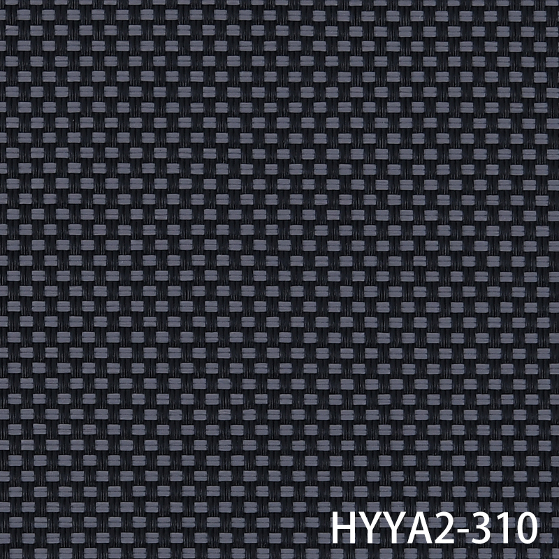 HYYA2-310